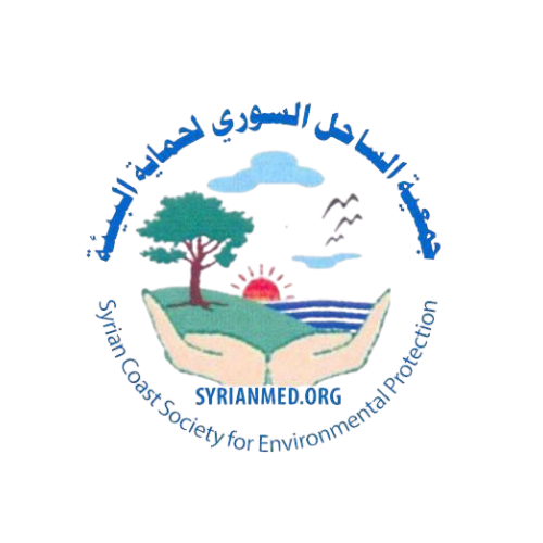 49_20250818_122652_0048