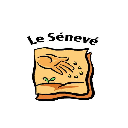 57_20250818_122653_0056